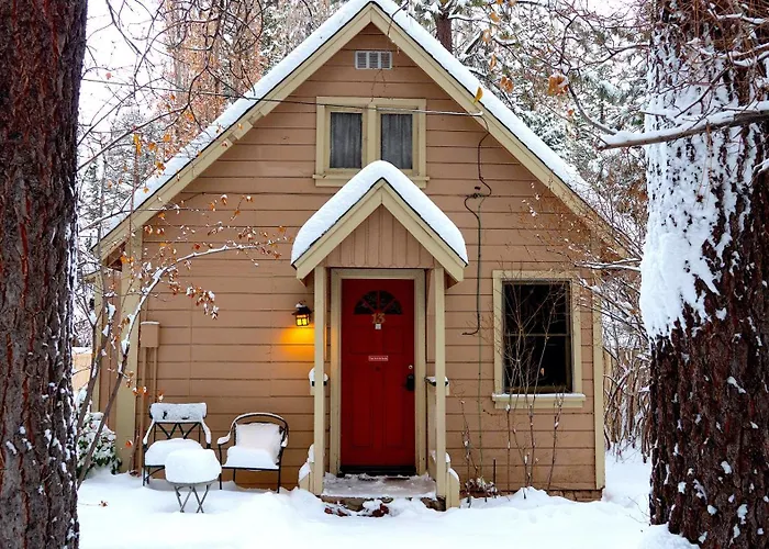 Sleepy Forest Cottages